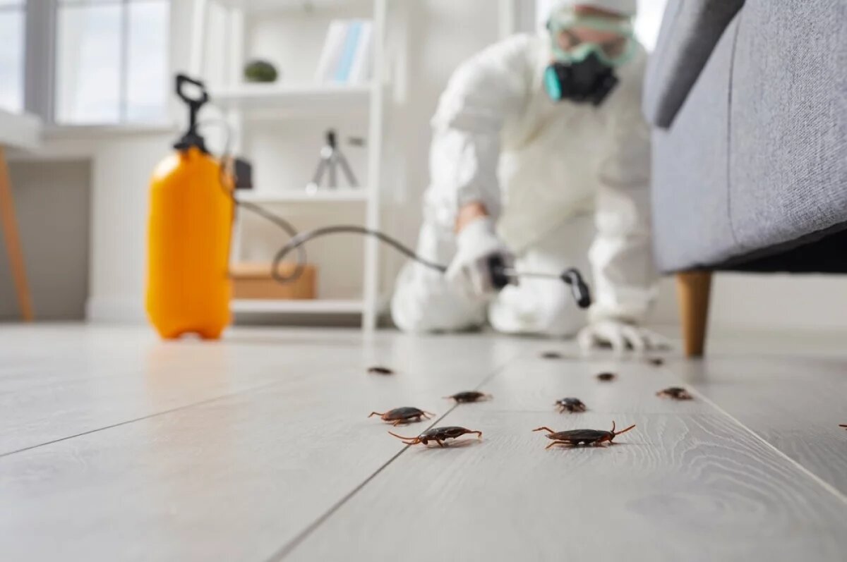 Pest Control